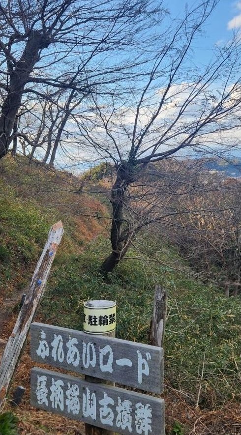 Nagara (Zushi Station) 19.8 million yen &mdash; photo 8