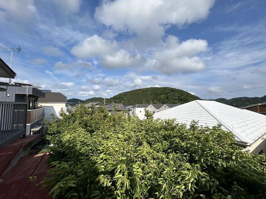 Long handle: 16.5 million yen &mdash; photo 7