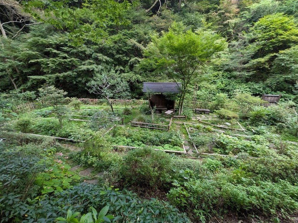 Nikaido: 10 million yen &mdash; photo 3