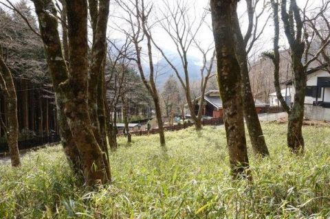 Hakone, Kanagawa property