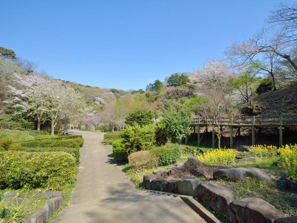 ◆First Public Release◆ Two plots available to enjoy the green view - over 60 tsubo (approx. 200 sq m) of spaciousness! Includes approximately 120 tsubo (approx. 400 sq m) of forest land. &mdash; photo 3