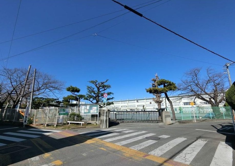 Pine forest 2: 24 million yen &mdash; photo 6