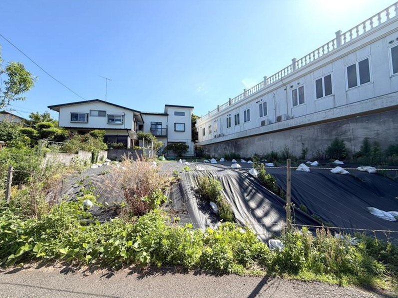 Large saw: 22.8 million yen &mdash; photo 2