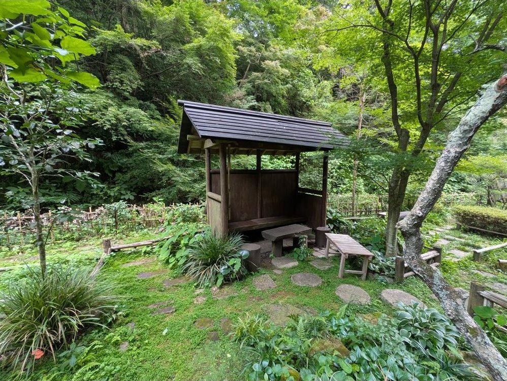 Nikaido: 10 million yen &mdash; photo 7