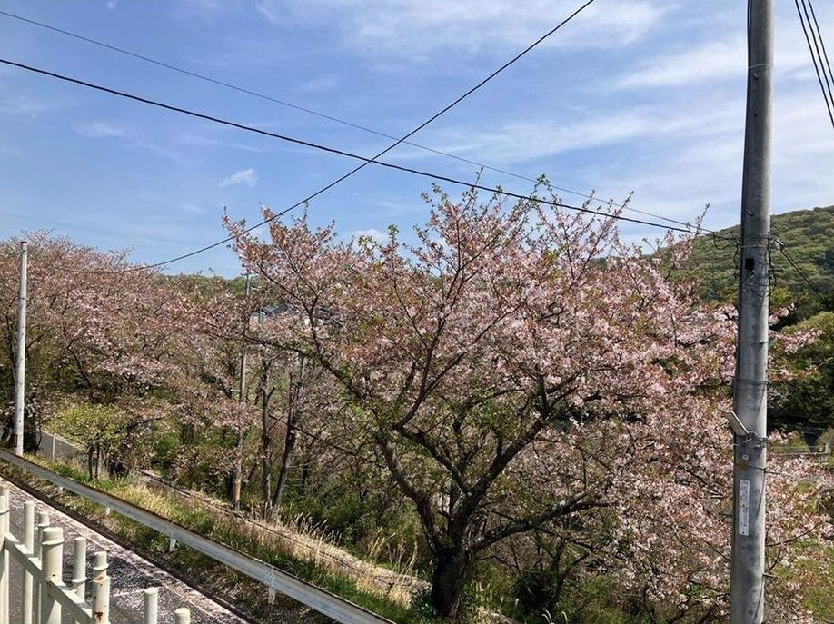 Tsutaka: 8.22 million yen &mdash; photo 7