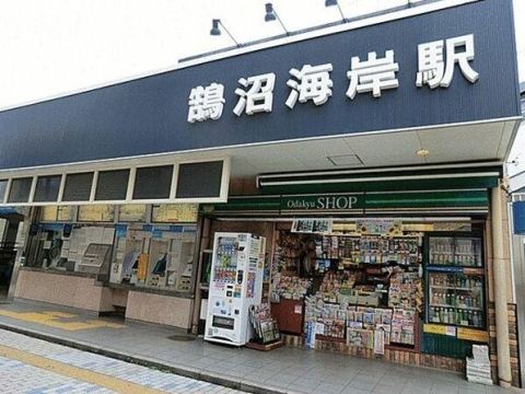 Fujisawa, Kanagawa property