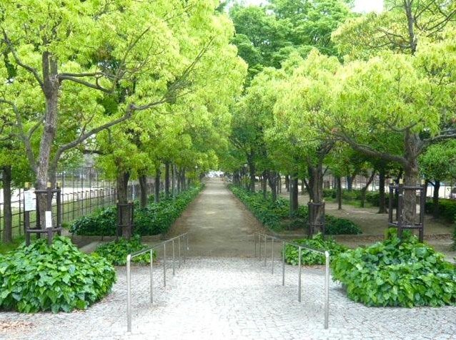 Izumio 5 (Taisho Station) 7.32 million yen &mdash; photo 6